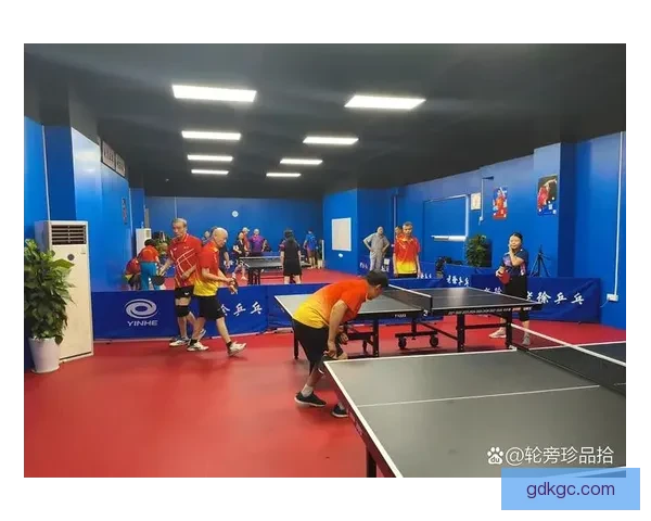 乒乓球教学视频大全：技巧、战术、训练全覆盖