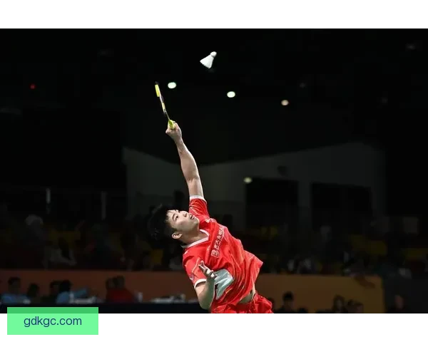 全球羽毛球锦标赛：挑战巅峰、征服冠军