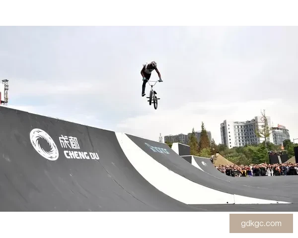 全球顶尖赛艇高手齐聚，争夺荣耀之战