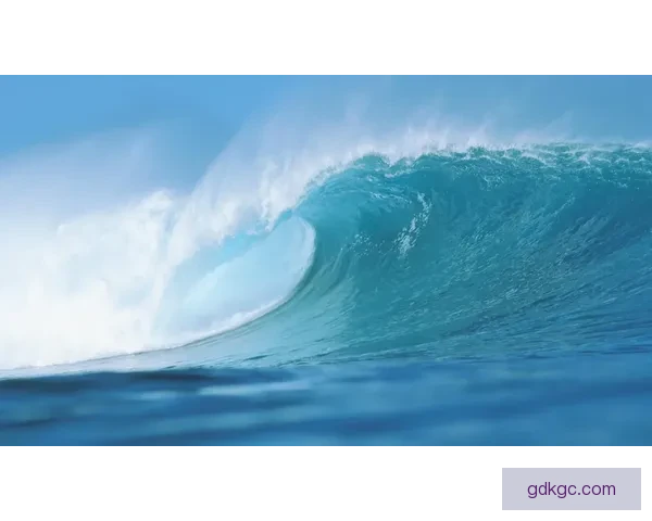 冲浪赛事预测：激情碰撞 浪潮迎风