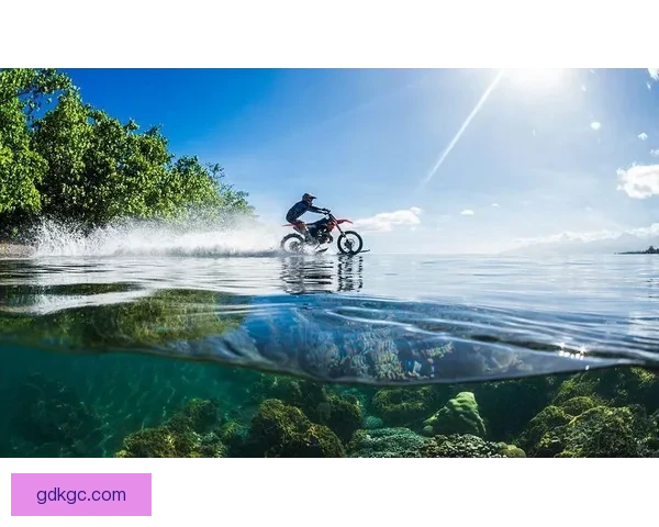 探寻冲浪文化的源远流长