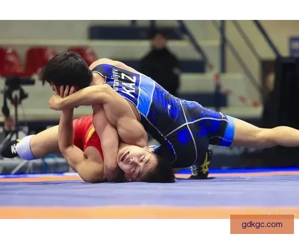 搏击之间：摔跤竞技的热血对决