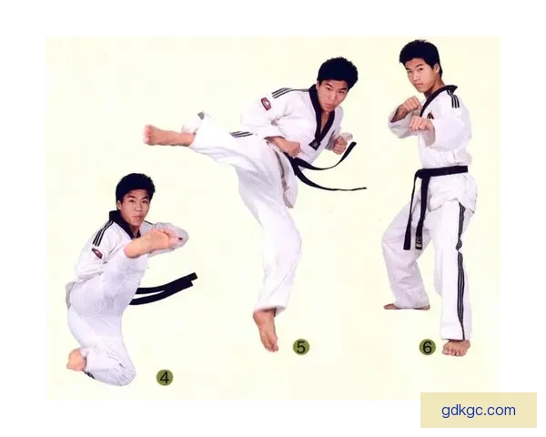 探索跆拳道对战技巧与战术策略