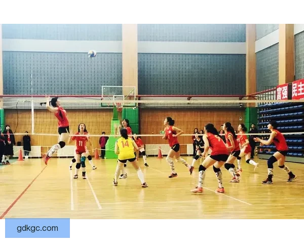 排球投注技巧：帮您轻松把握胜负赛果