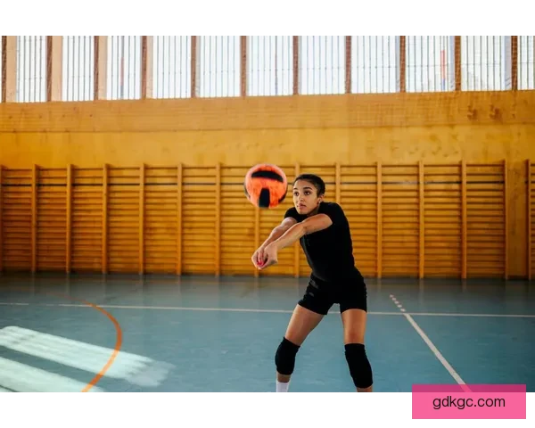 排球冠军之路：光荣与激情