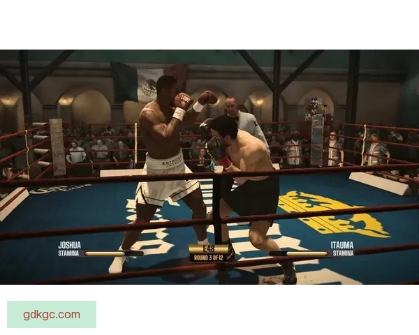 最新拳击赛事：世界拳王重约战，谁能夺得奖杯？