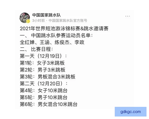 跳水赛程分析：技术要点与比赛规则详解